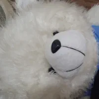 عروسک خرسی بزرگ