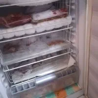 یخچال زاگرسموتور|یخچال و فریزر|رباط‌کریم, شهرک صنعتی زواره‌ای|دیوار