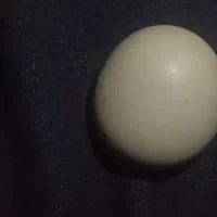 سنگ الماس آسیاب