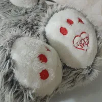 عروسک خرس، شاسخین