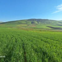 زمین‌کشاورزی‌انگوت‌