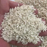 برنج عنبربو