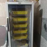 دستگاه جوجه کشی