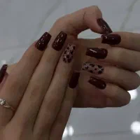 کاشت و ترمیم با بهترین قیمت|خدمات آرایشگری و زیبایی|رشت, معلم|دیوار