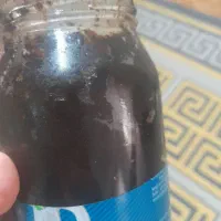 ترشی سیاه برای فسنجان