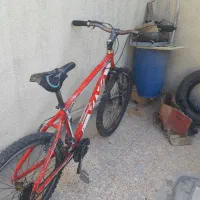 ویوا