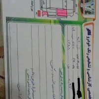 ۲۰۶ ۸۸ نقره ای