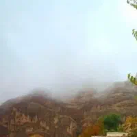 فروش باغچه در جنگلهای قلات با درختان بزرگ قدیمی