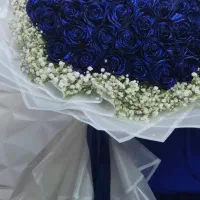 گل نازلی|گل و گیاه طبیعی|شاهین‌شهر, عطار|دیوار