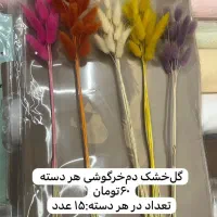 فروش وسایل گل‌آرایی(گلفروشی)|گل و گیاه طبیعی|شیراز, شهرک گلدشت حافظ‎|دیوار