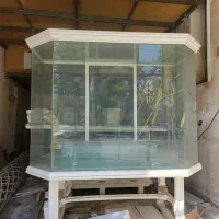 ویترین شیشه ای مغازه