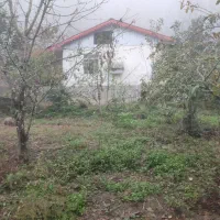 زمین فروشی در تالش، خطبهسرا (شوکیز مشایخ)|فروش زمین و ملک کلنگی|لیسار, |دیوار