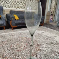 تنگ واکواریوم ماهی