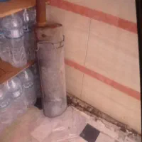اگزوزبلوچی