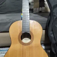 گیتار هوهنر پیکاپ دار