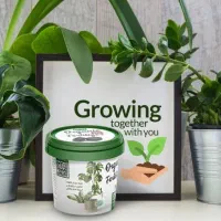 قرص کودبیز /کودصددرصدگیاهی/کودسبوسیب|گل و گیاه طبیعی|مشهد, نکاح|دیوار