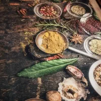 سلام فروش فرش آشپزخانه .سنگر