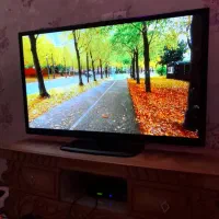 ال ای دی ۵۵ اینچ الجی اصل کره