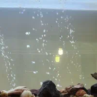 آکواریوم ماهی با تجهیزات مورد نیاز راه اندازی