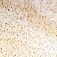 برنج چمپا (چلتوک )خوش طعم وخوش پخت