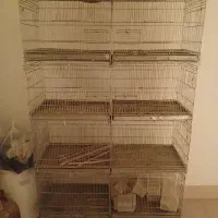 جفت خون|لوازم جانبی حیوانات|بوشهر, |دیوار