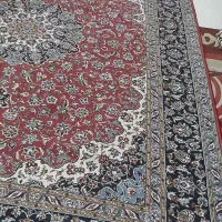 فرش ۱۲ متری و ۹ متری|فرش|صدرا-فارس, فاز ۱|دیوار