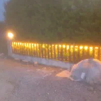 اورژانس برق برقکار ۲۴ ساعته کیفیت و ضمانت اجرا|خدمات پیشه و مهارت|محمودآباد, |دیوار