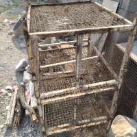 قفس جفت گاه کبوتر معاوضه با کبوتر رنگی مرغ