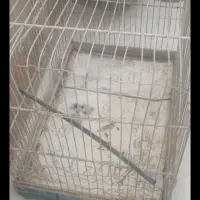 دو تا قفس سایز متوسط و بزرگ