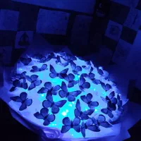 دسته گل پروانه