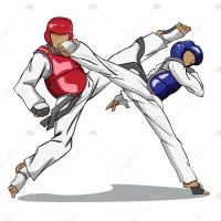 آموزش هنر رزمی ترکیبی و سبکی
