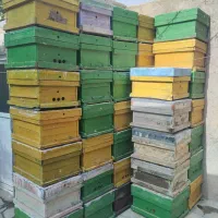 کندو خالی زنبور عسل