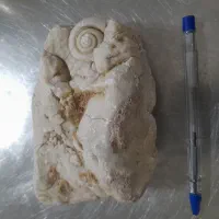 فسیلسنگ|مجسمه، تندیس، ماکت|شهرکرد, |دیوار