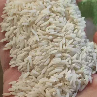 نزار برنج خارجی رو به اسم برنج ایرانی بدن بهت