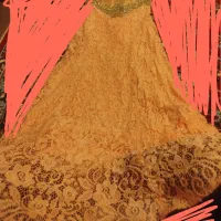 تعداد لباس مجلسی|لباس|شیراز, گویم|دیوار