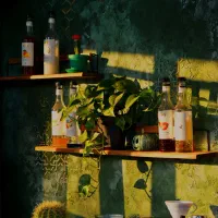 استخدام باریستا|استخدام خدمات فروشگاه و رستوران|رشت, دیلمان|دیوار