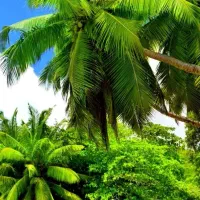 اجرای خدمات ساختمانی.تهاتر نقدی شرایط ویژه