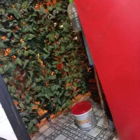 اجاره روزانه سوییت