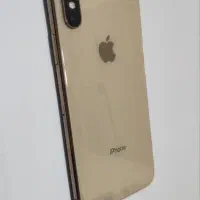 XS 256 گُلد ژاپن