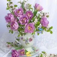 شرکت خدماتی آرامیس/سالمند،کودک،امورمنزل،تنظیفات