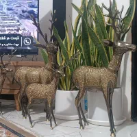 4 عدد کوزن|مجسمه، تندیس، ماکت|تهران, نازی‌آباد|دیوار