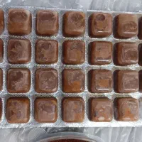 انواع غذاهای ماهی گیاهخوار و گوشتخوار|ماهی|اهواز, فاز ۲ پادادشهر|دیوار