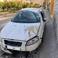 رانا تصادفی