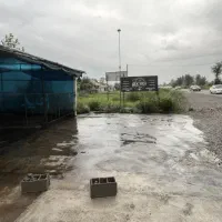 مغازه بر جاده اصلی|فروش مغازه و غرفه|لاهیجان, بازکیاگوراب|دیوار