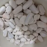 سنگ آکواریوم