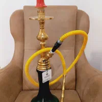 سالم در حد نو