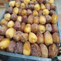 رطب درجه یک و با کیفیت