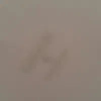 سرویس آرکوپال ویکتوریا|ظروف سرو و پذیرایی|همدان, |دیوار