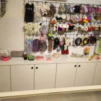 پیشخوان و ویترین