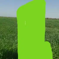 زمین-کشاورزی-13-هکتار-ایجاره